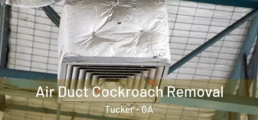  Air Duct Cockroach Removal Tucker - GA