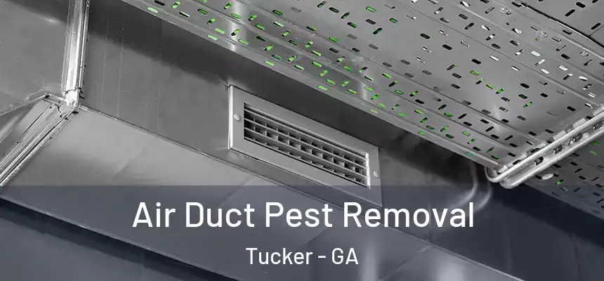 Air Duct Pest Removal Tucker - GA
