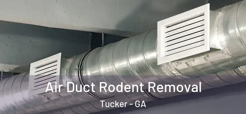 Air Duct Rodent Removal Tucker - GA