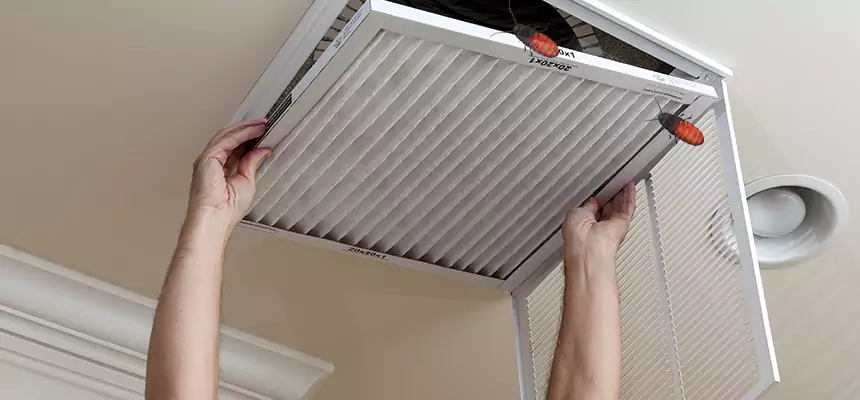 Preventive Cockroach-Proofing for Ducts in Tucker