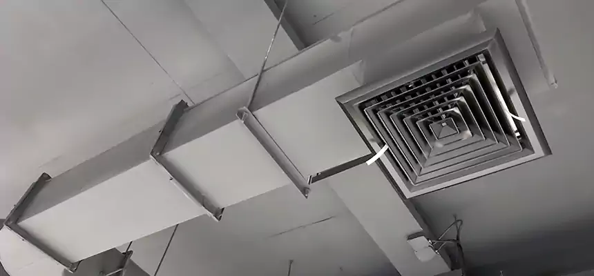 Our Pest Removal From Ducts Services in Tucker, GA