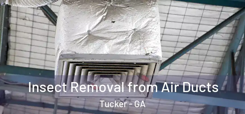 Insect Removal from Air Ducts Tucker - GA