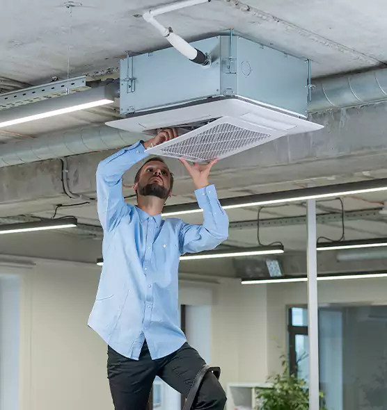 Advanced Rodent Droppings In Vents in Tucker, GA