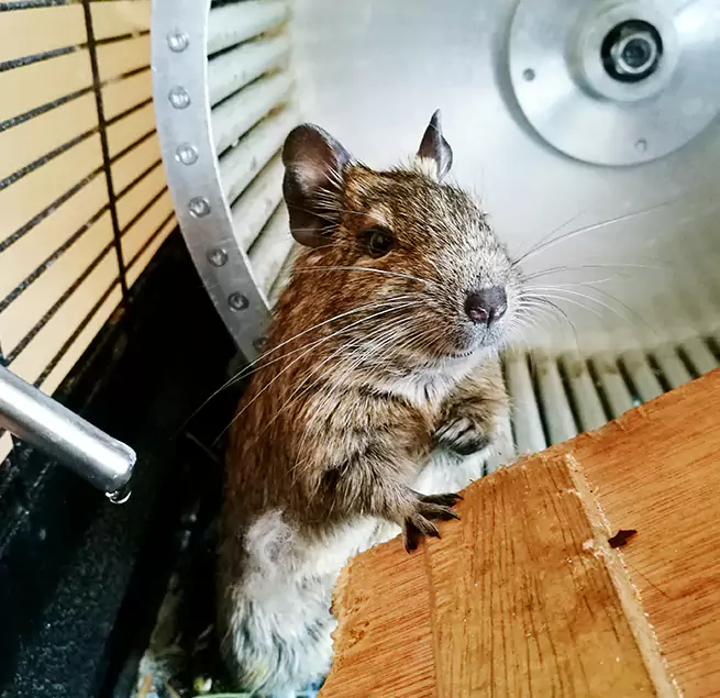 Why Homeowners & Businesses Trust Us Tucker, GA