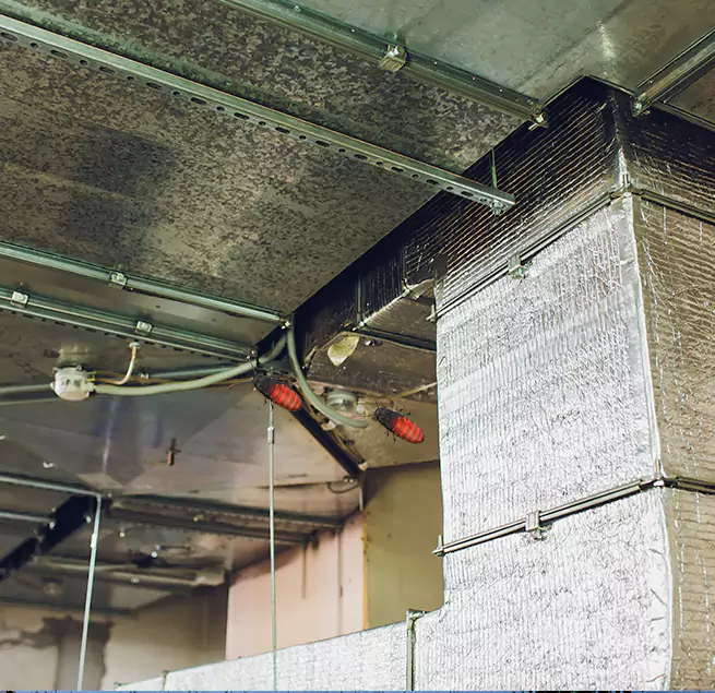 Why Homeowners & Businesses Trust Us Tucker, GA?