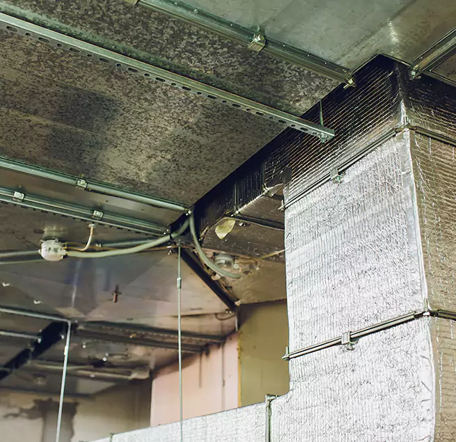 Why Homeowners & Businesses Trust Us in Tucker, GA?